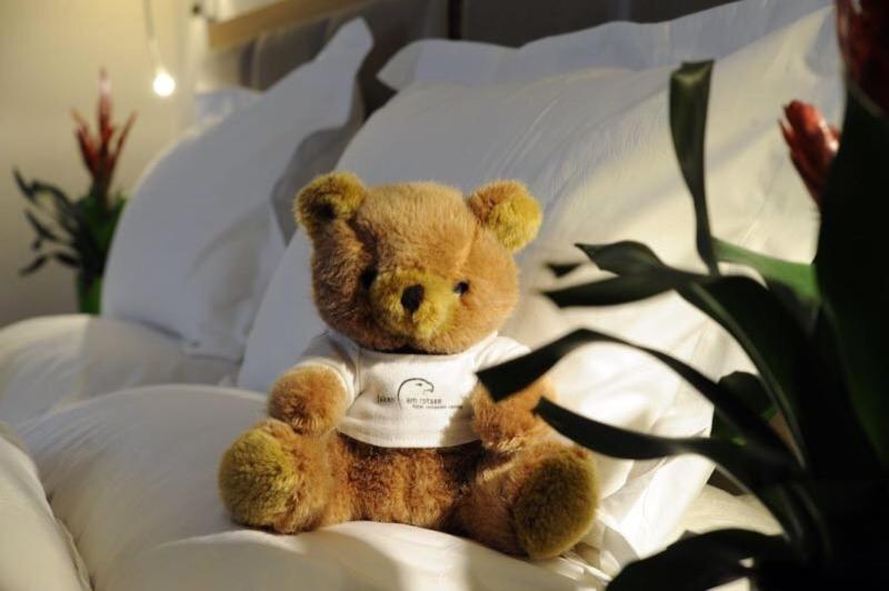 Falken am Rotsee - Resim 18