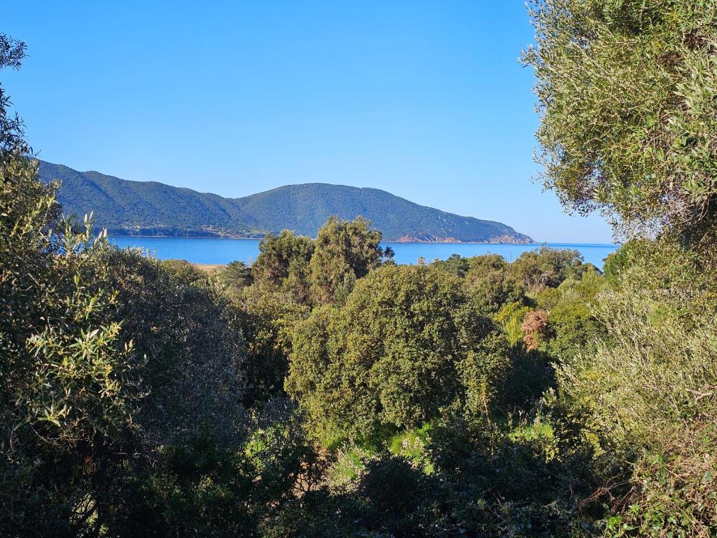 a view of a forested area with a body of water at Yourte Corsica vera in Appietto