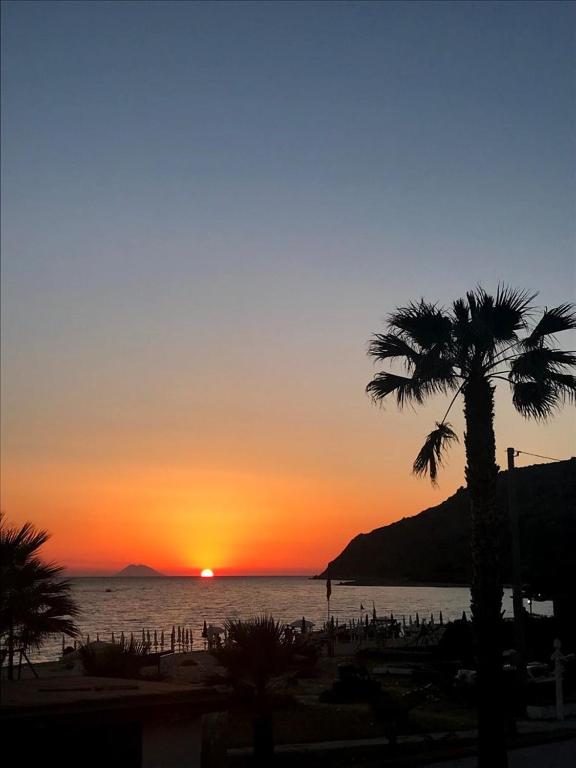 a sunset over the ocean with a palm tree at La casa del professore libeccio in Nicotera Marina