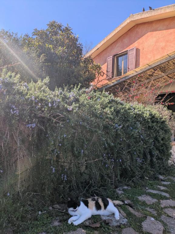 Isola Natura Farm Retreat Sardinia