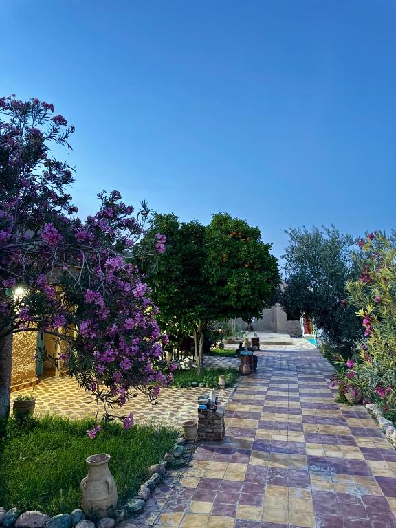 a walkway with purple flowers and trees in a park at Gite d étape Khettara Oasis in Er Rachidia