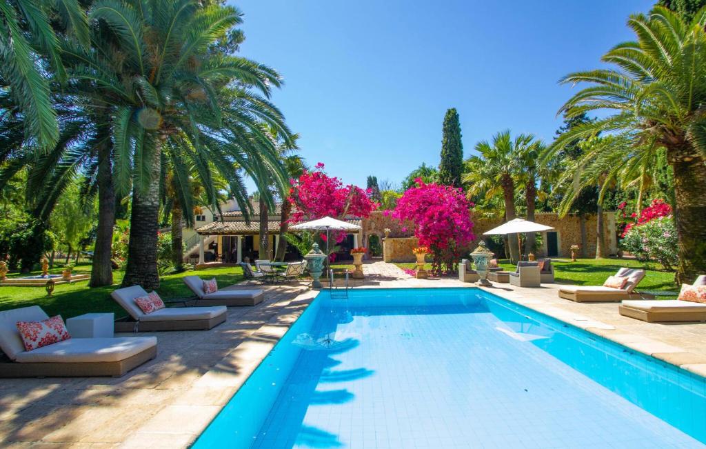 a swimming pool with lounge chairs and palm trees at Santa Lucia in Binissalem