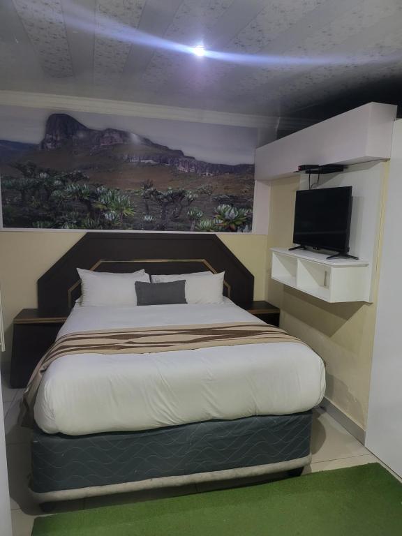 a bedroom with a large bed and a flat screen tv at THK Properties in Pretoria