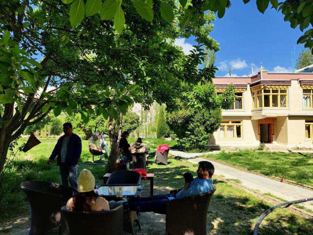 a group of people sitting in chairs under a tree at Yarab tso hotel Tigger Nubra in Nubra