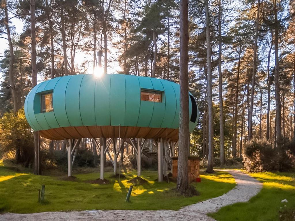 a tree house in the middle of a forest at Kanna-Qu7625 in Chipping Norton