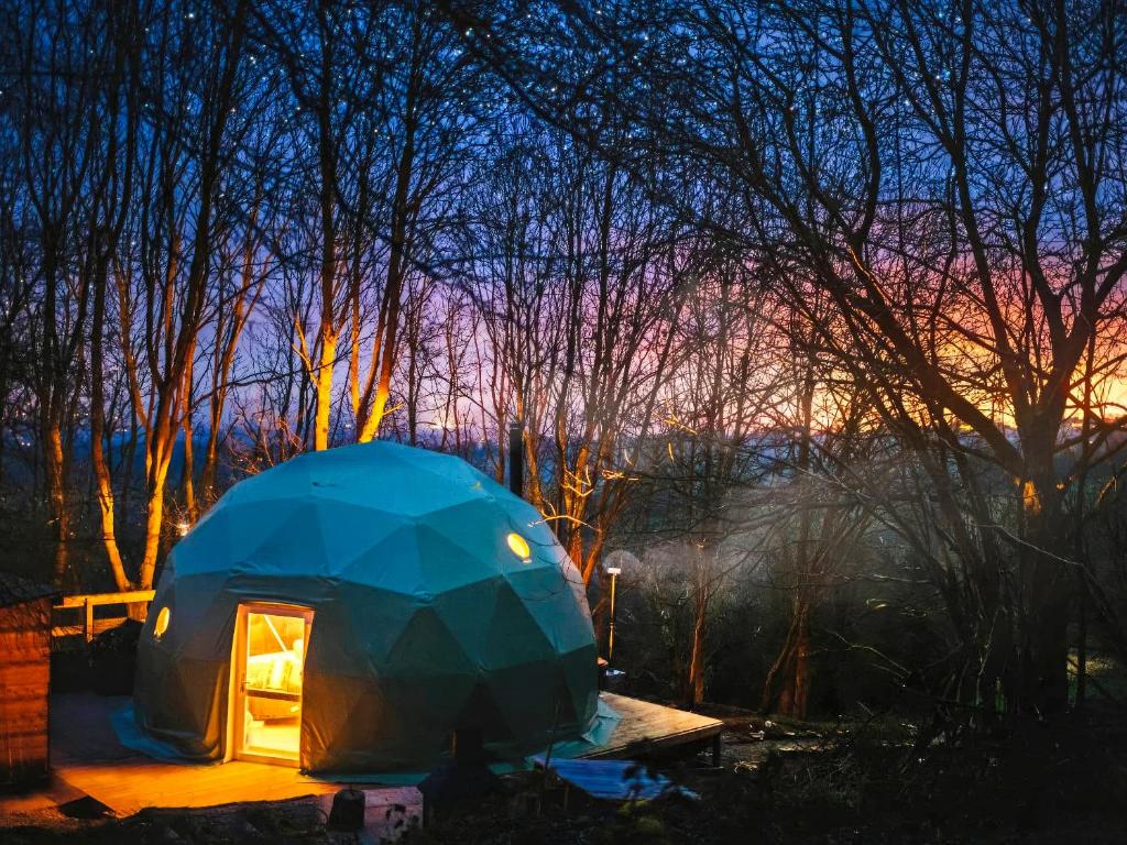 a blue dome tent in a forest at night at The Tree Dome - Ukc6979 in Ludlow