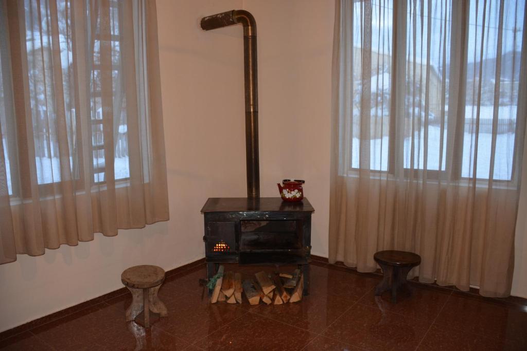 TV a/nebo společenská místnost v ubytování Manana Japaridze's Guesthouse