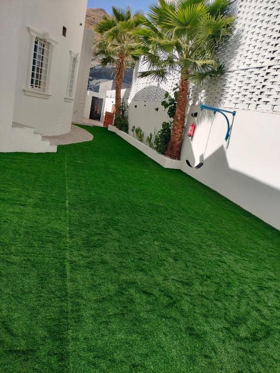 a green lawn with palm trees on a house at شالية الكناري in Taif