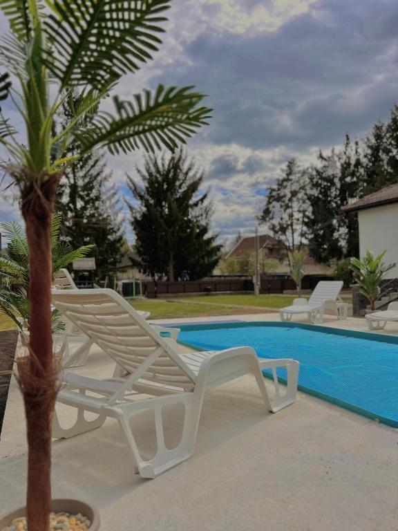 a white chair and a palm tree next to a pool at Gém Home Vendégház in Bodony