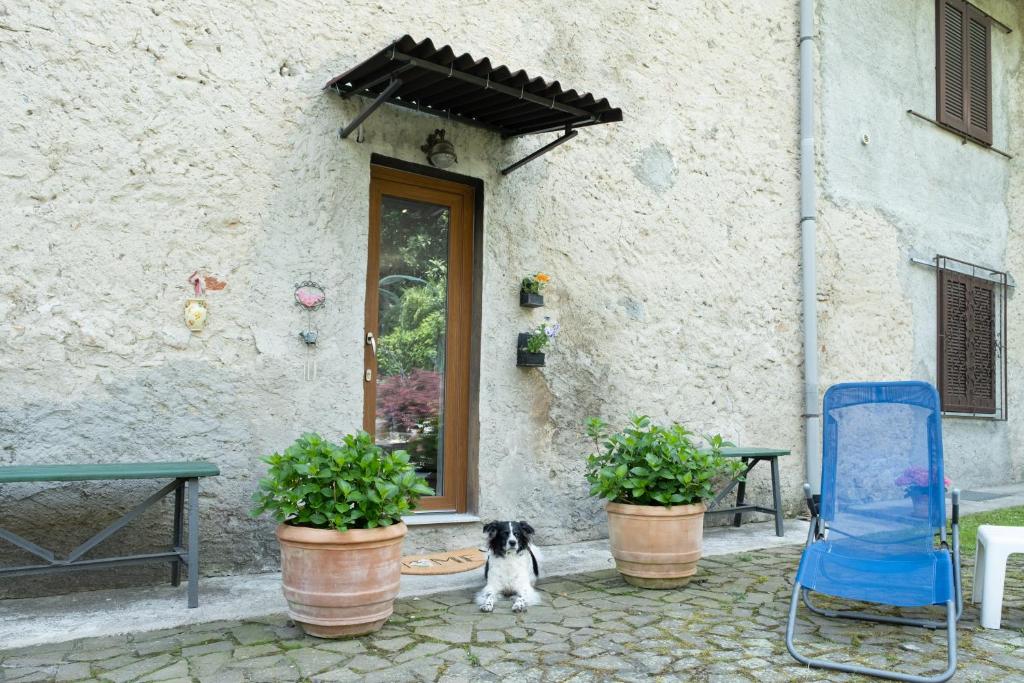 a black and white dog sitting in front of a building at Casa La Barancina in Cittiglio
