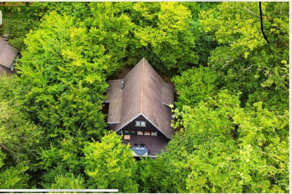 an overhead view of a house in the midst of trees at Boshuis Green Forest in Durbuy