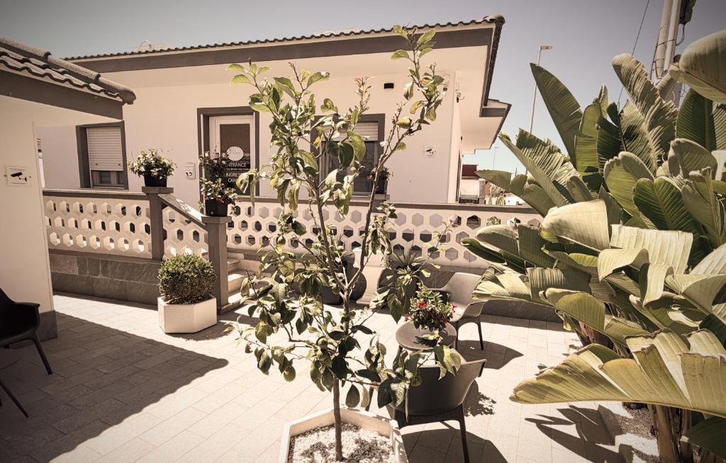 a room with a bunch of potted plants at Kalasó Design Guest House - Rome Airport in Fiumicino