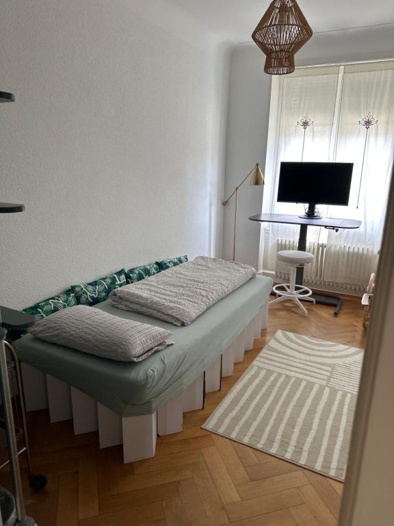Private Room Basel - 8 min walk to Basel SBB station - Garden Access