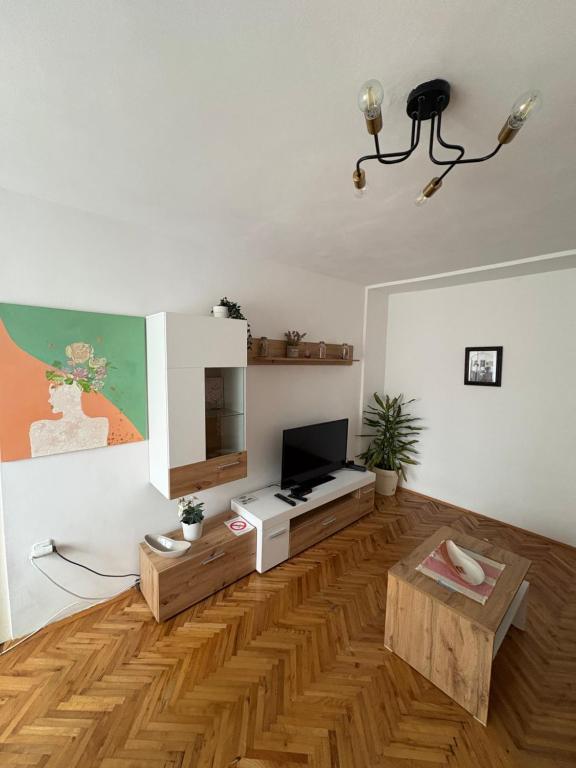 a living room with a television and a wooden floor at Garden apartmani 3 in Vračar (historical)