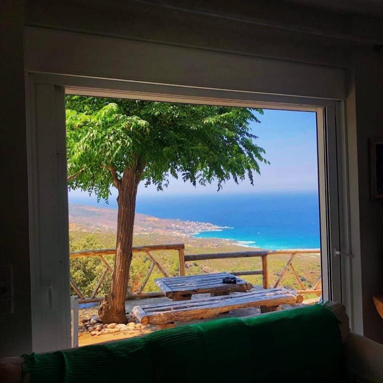 a window with a view of a tree and the ocean at To Fournaraki in Gialiskari