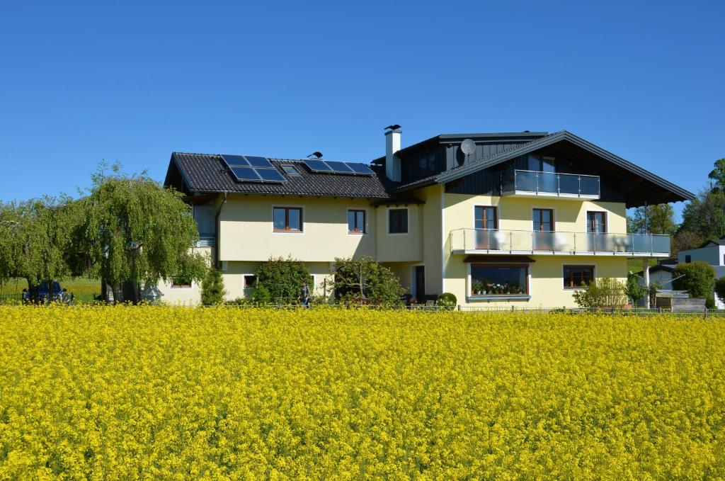 a house in a field of yellow flowers at Haus Gruber in Attersee am Attersee