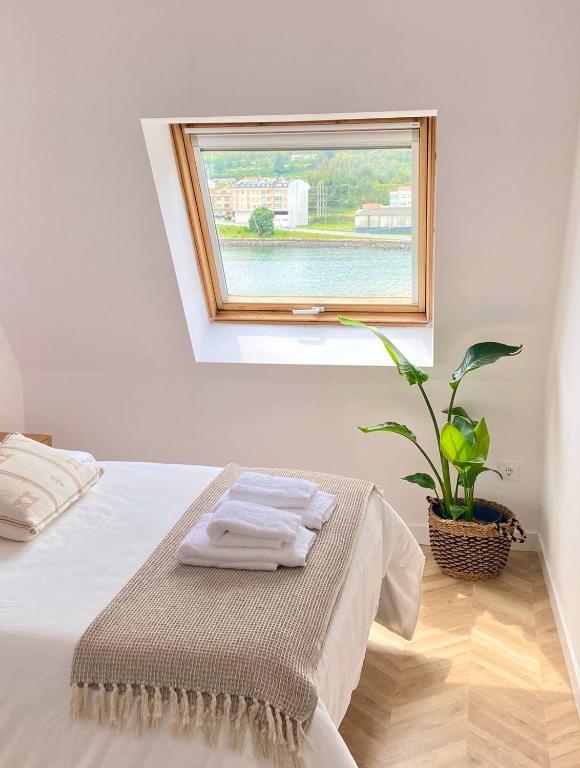 a bedroom with a bed with a window and a plant at Salitre - Boa Onda in Cee