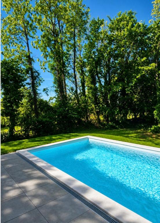 a swimming pool in a yard with trees at Vila Green Silence in Pazin