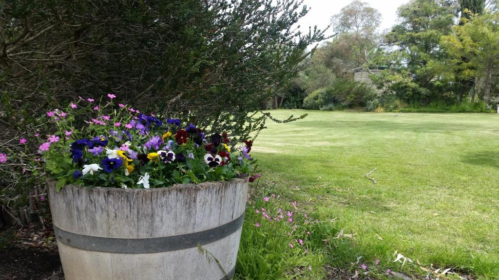 un barril de madera lleno de flores en un campo en Padthaway Caravan Park en Padthaway