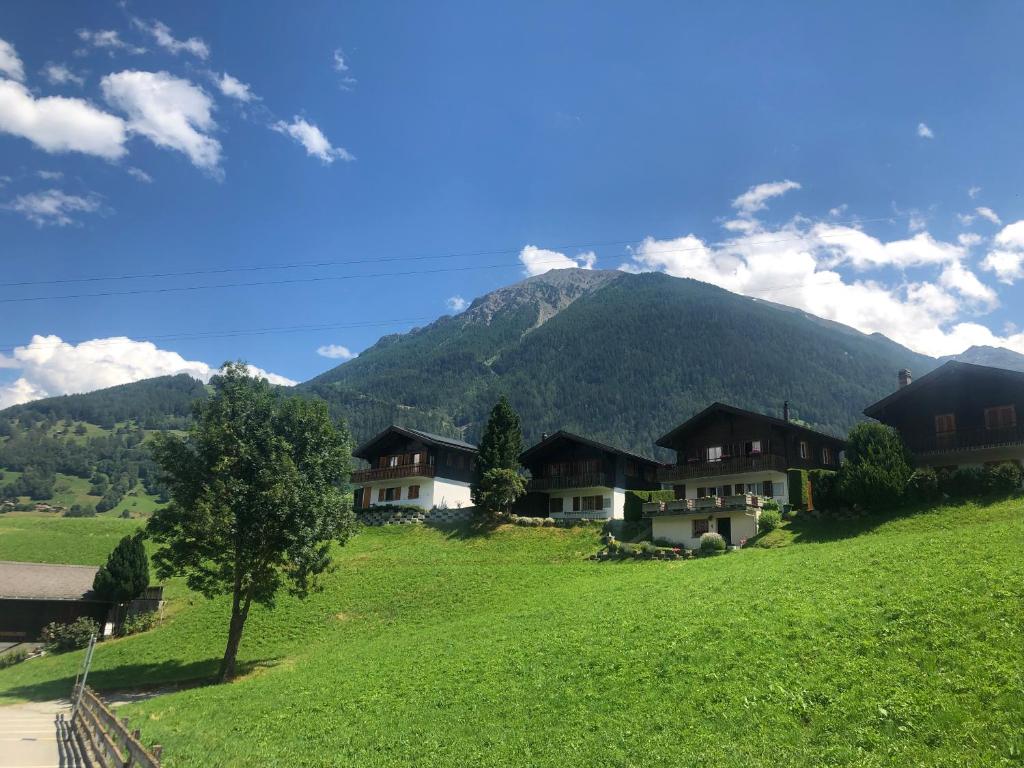 a green hill with houses in front of a mountain at Chalet Alpen Charme in Turtmann