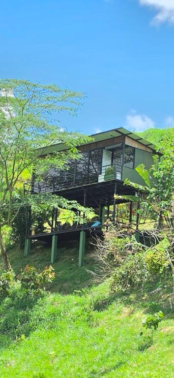 a house sitting on top of a lush green hill at Magma "Cabañas con jacuzzi en la montaña" in La Vega