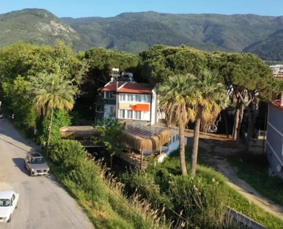 a house on a hill with palm trees at Bohem Pansiyon in Kuşadası