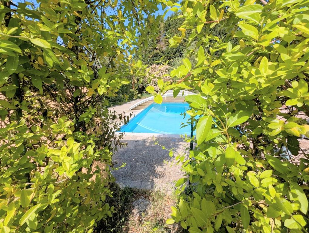 a swimming pool through the trees in a yard at Cottage de charme en pleine nature avec piscine in Saint-Philbert-du-Peuple