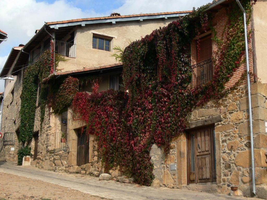 a building covered in flowers on a street at Casas Rurales Casas en Batuecas in Villanueva del Conde