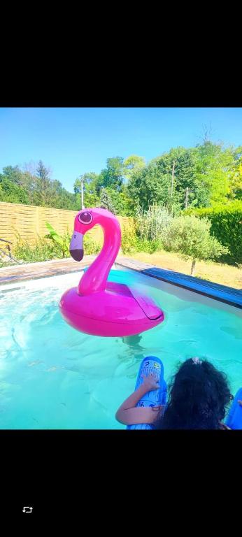 a pink float in a swimming pool at Maison 7 personnes avec piscine proche de Disneyland Paris in Villiers-sur-Morin