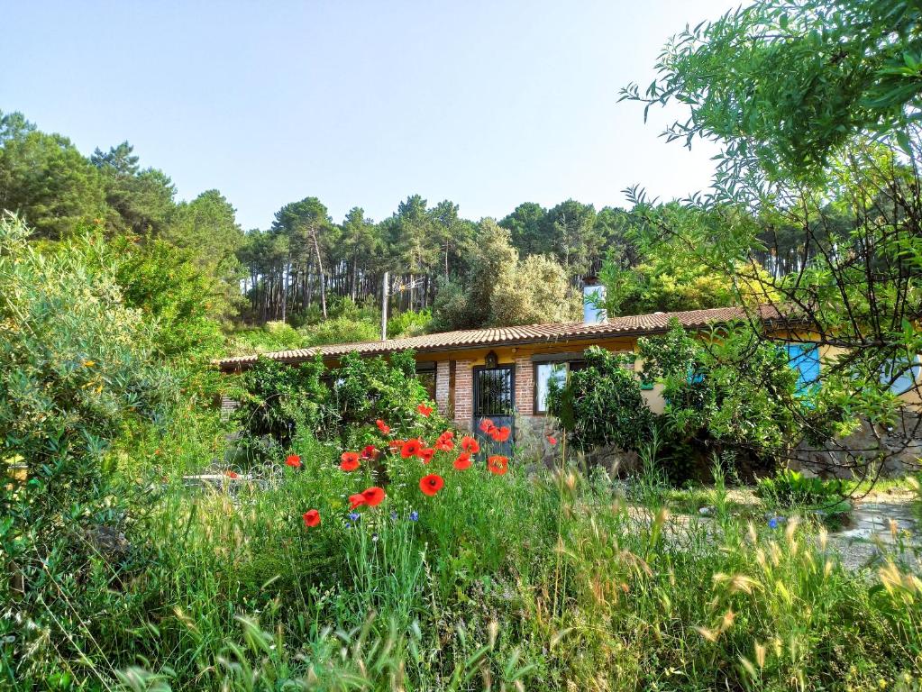 a garden with red flowers in front of a house at Casa Rural Las Gesillas in Arenas de San Pedro