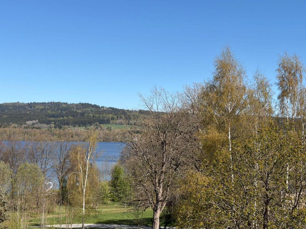 a view of a lake with trees and a field at Wohnung Epprechtstein Seeperle Weißenstadt in Weißenstadt