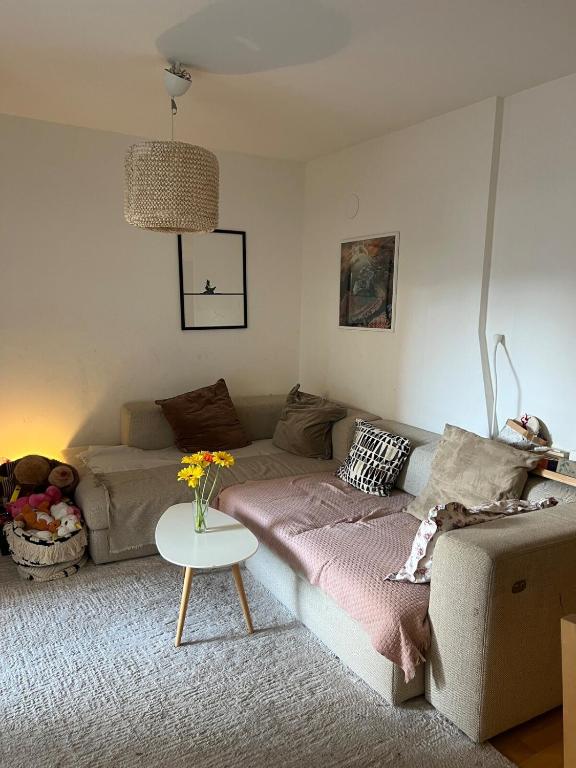Cozy apartment near Eurovision Song Contest