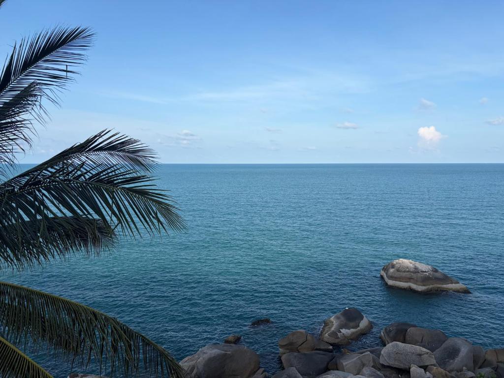 a view of the ocean with rocks and a palm tree at Noahs Ark Beach in Nathon Bay