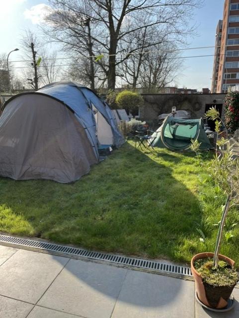 a tent on the grass in a yard at Groene tent voor 2 personen, 1 km van tomorrowland in Boom