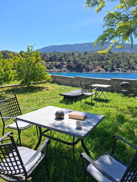 a picnic table and chairs in the grass near a pool at Apartments Stella Apsyrtides in Osor