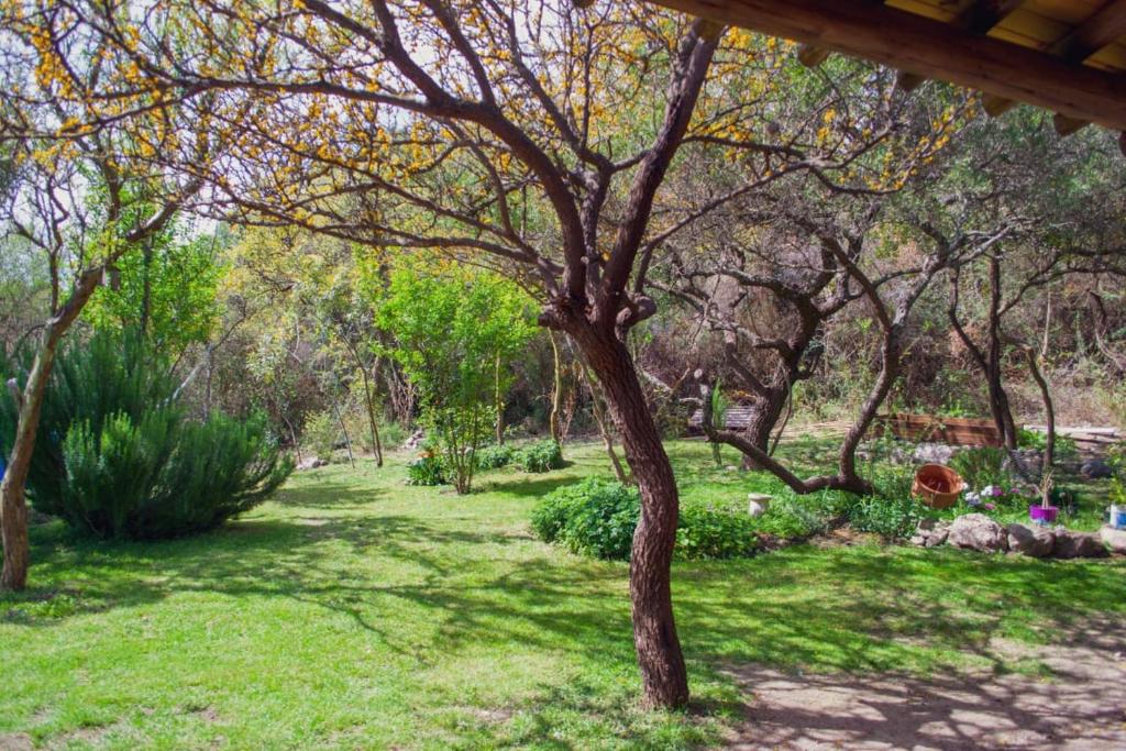 O grădină în afara Casa de duendes