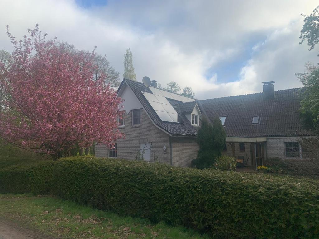 a house with a solar roof on top of it at FeWo Naturblick mitten im schönen Cuxland Perfekt für Familien mit Hunden in Stinstedt