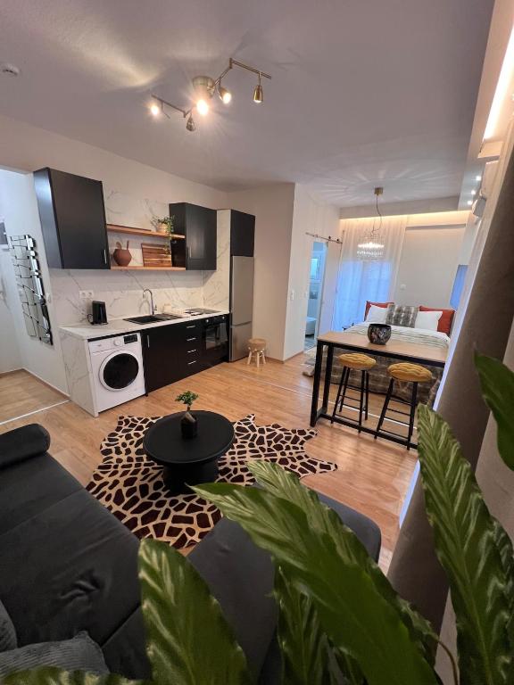 Safari Lux Studio SKG Newly Renovated