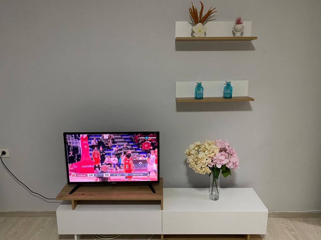 a television sitting on a table with a vase of flowers at Nestorovski House in Bitola
