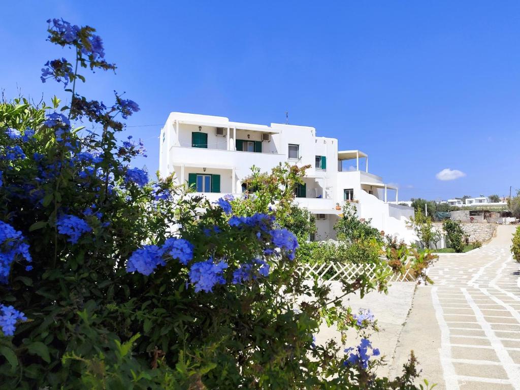 ein weißes Gebäude mit blauen Blumen davor in der Unterkunft Studios Farma in Agia Anna