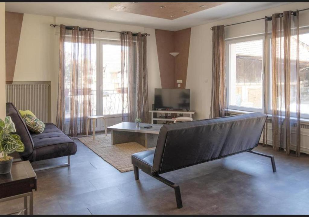 ein Wohnzimmer mit Sofa und Fernseher in der Unterkunft Nouveau - L'Entre Nous - Europa Park in Huttenheim