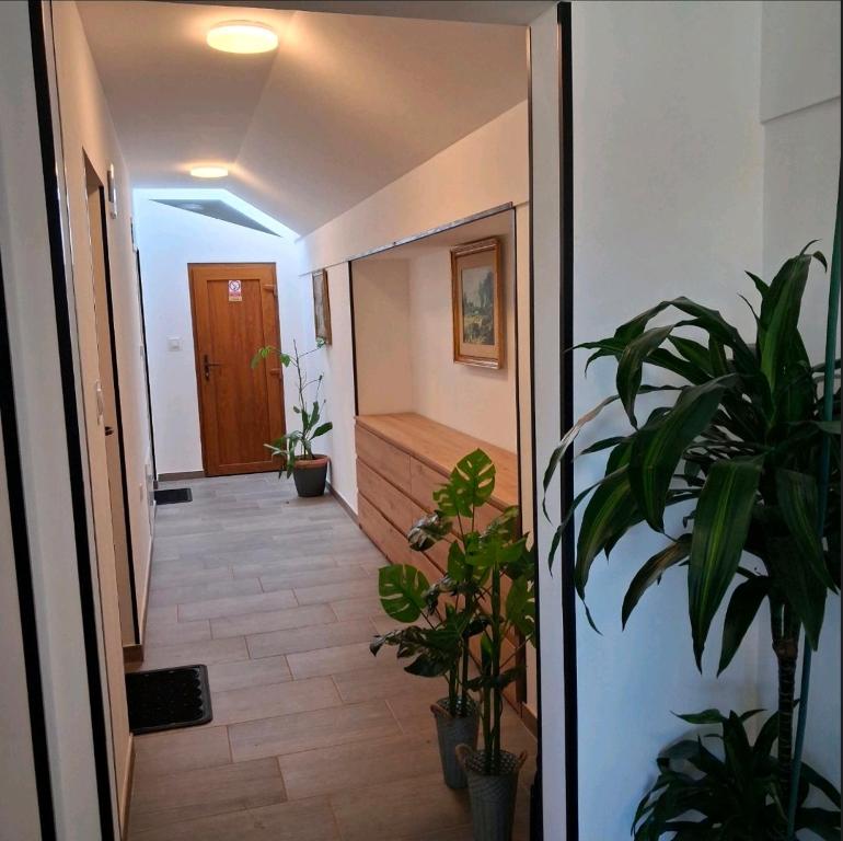 a hallway with potted plants next to a door at Studio apartmani Atlantik in Nedelišće