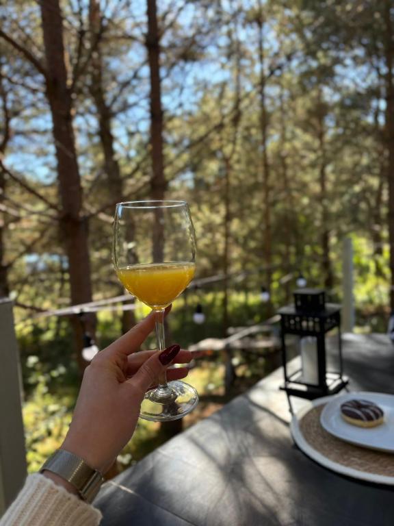 a person holding up a glass of wine at Domki Wieck in Czarna Woda