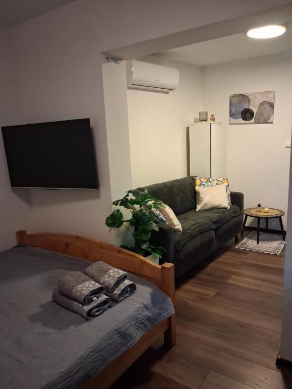 a living room with a couch and a flat screen tv at Apartment Allapera in Svibovec Podravski