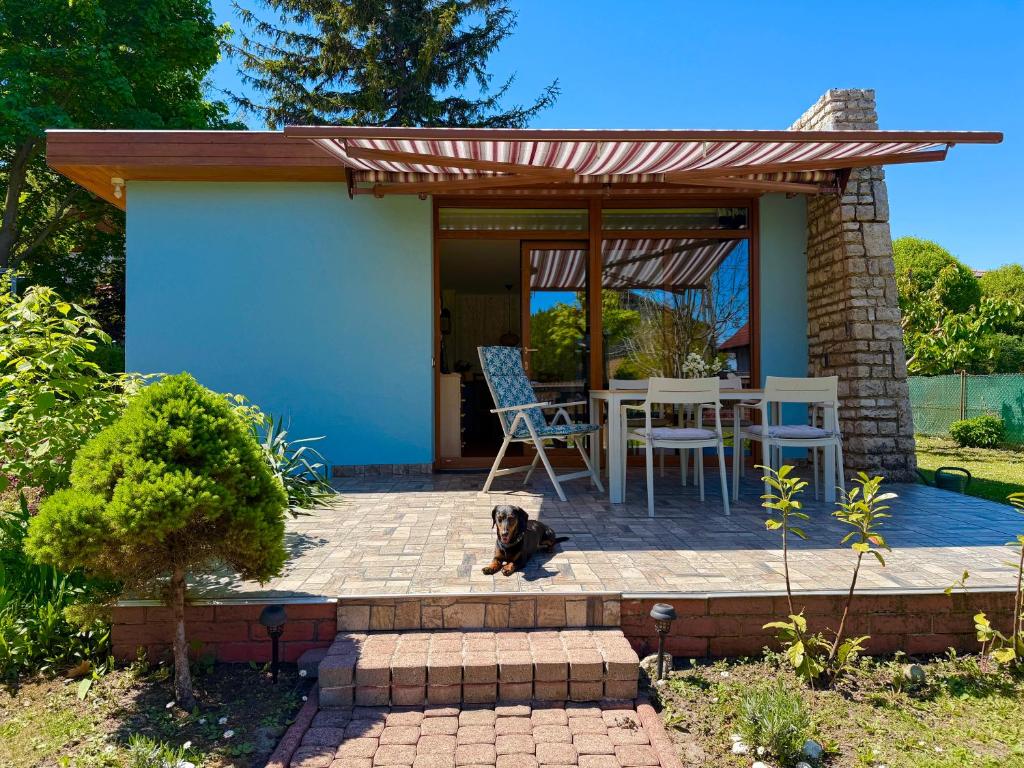 a dog sitting on a patio in front of a house at Kősüllő Vendégház in Szántód