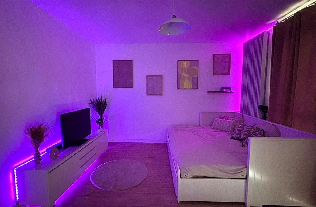 a purple room with a bed and a tv at Large Studio Near Train station and Disney in Lognes