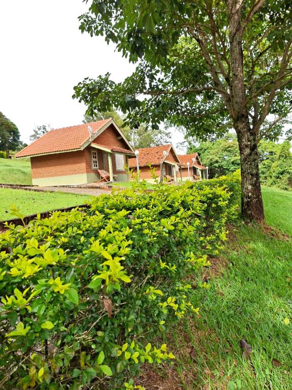 a house in a field with a tree and flowers at Pousada Ecológica Rio do Peixe in Socorro