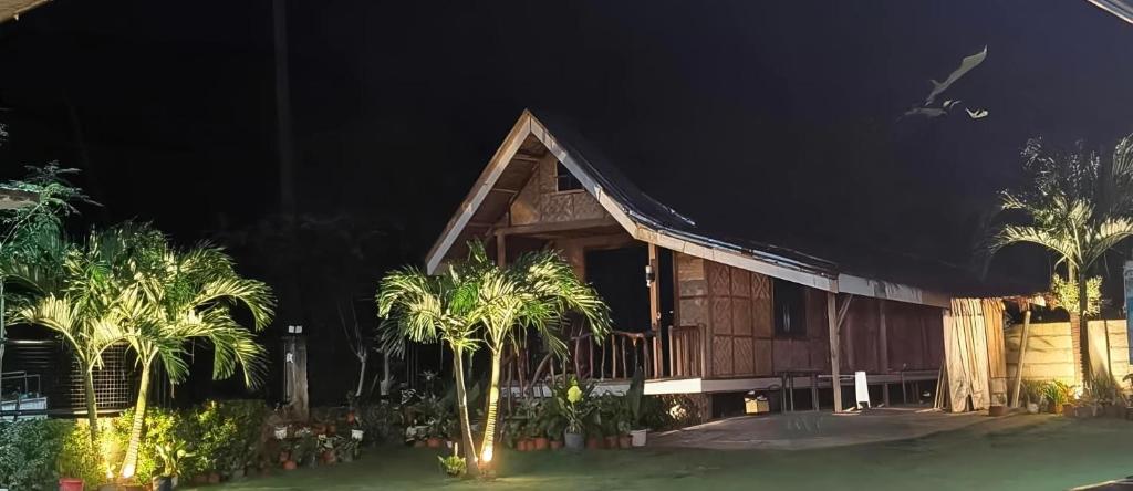 a house with palm trees in front of it at night at CocoVille Guesthouse KUBO in Alegria