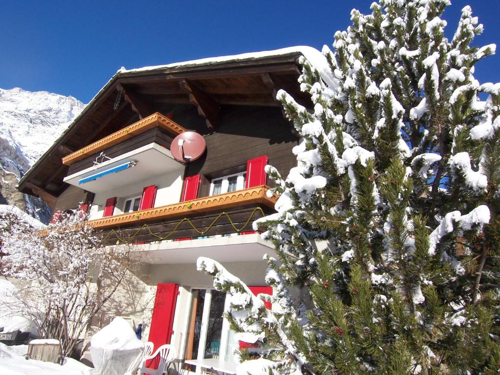 ein Gebäude mit einem schneebedeckten Baum davor in der Unterkunft Haus Alpentraum in Randa
