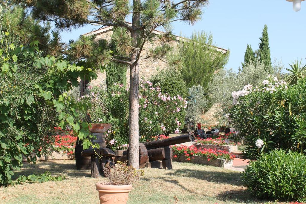 Zahrada ubytování Hotel Fattoria Belvedere
